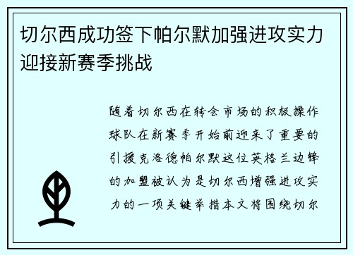 切尔西成功签下帕尔默加强进攻实力迎接新赛季挑战