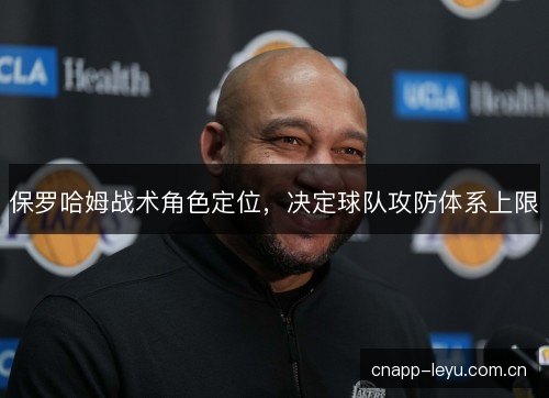 保罗哈姆战术角色定位，决定球队攻防体系上限